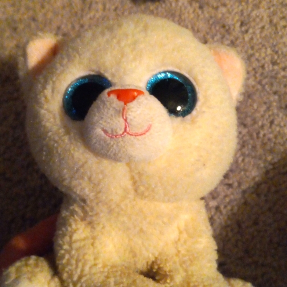 Pearl the white cat
